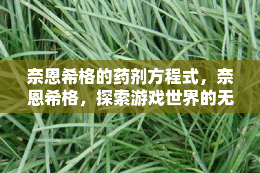 奈恩希格的药剂方程式，奈恩希格，探索游戏世界的无限可能