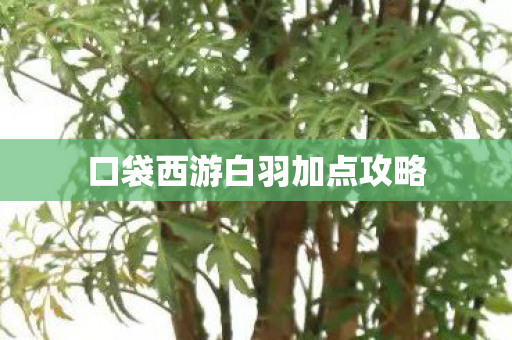 口袋西游白羽加点攻略 口袋西游白羽加点攻略