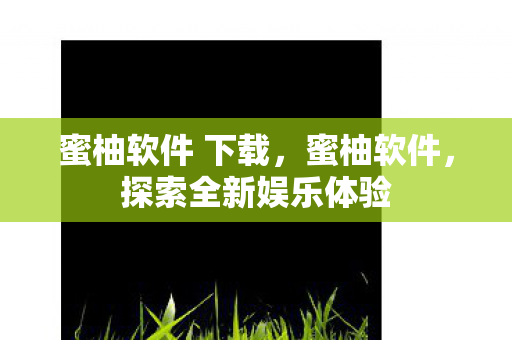 蜜柚软件 下载，蜜柚软件，探索全新娱乐体验