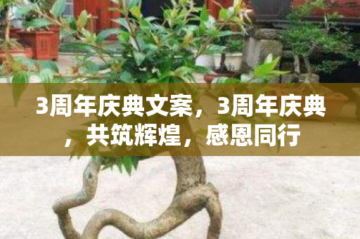 3周年庆典文案,3周年庆典,共筑辉煌,感恩同行 3周年庆典文案,3周年庆典,共筑辉煌,感恩同行