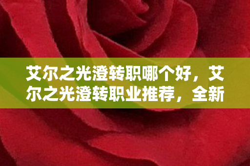 艾尔之光澄转职哪个好，艾尔之光澄转职业推荐，全新体验，尽享战斗乐趣