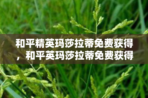 和平精英玛莎拉蒂免费获得,和平英玛莎拉蒂免费获得,揭秘官方活动与玩家福利 和平精英玛莎拉蒂免费获得,和平英玛莎拉蒂免费获得,揭秘官方活动与玩家福利