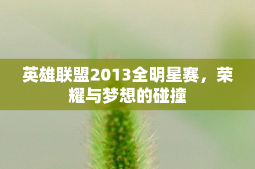 英雄联盟2013全明星赛,荣耀与梦想的碰撞 英雄联盟2013全明星赛,荣耀与梦想的碰撞