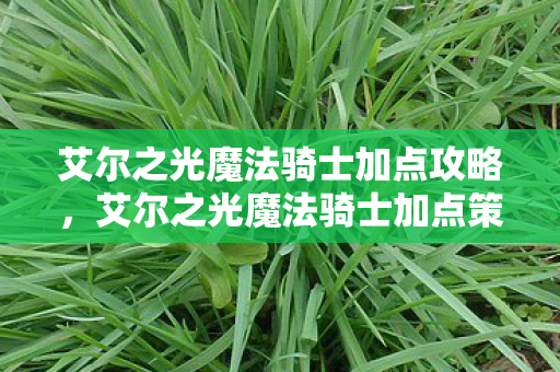 艾尔之光魔法骑士加点攻略,艾尔之光魔法骑士加点策略 艾尔之光魔法骑士加点攻略,艾尔之光魔法骑士加点策略