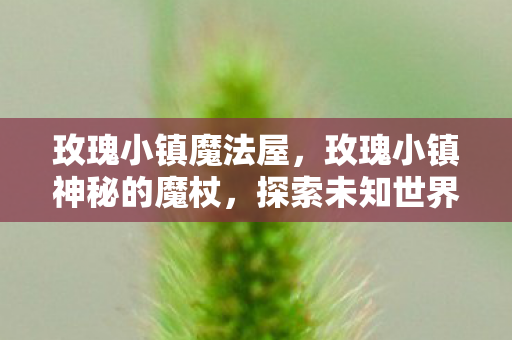 玫瑰小镇魔法屋，玫瑰小镇神秘的魔杖，探索未知世界的奇幻之旅