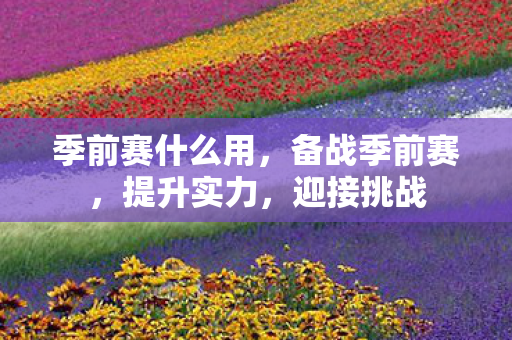 季前赛什么用,备战季前赛,提升实力,迎接挑战 季前赛什么用,备战季前赛,提升实力,迎接挑战