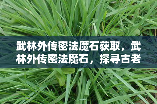 武林外传密法魔石获取,武林外传密法魔石,探寻古老武学的神秘传承 武林外传密法魔石获取,武林外传密法魔石,探寻古老武学的神秘传承