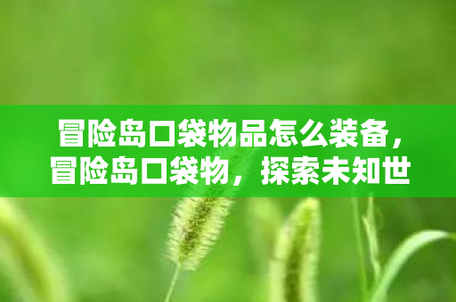 冒险岛口袋物品怎么装备,冒险岛口袋物,探索未知世界的奇妙之旅 冒险岛口袋物品怎么装备,冒险岛口袋物,探索未知世界的奇妙之旅