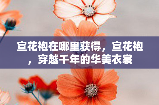 宣花袍在哪里获得，宣花袍，穿越千年的华美衣裳