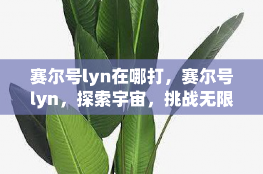 赛尔号lyn在哪打，赛尔号lyn，探索宇宙，挑战无限