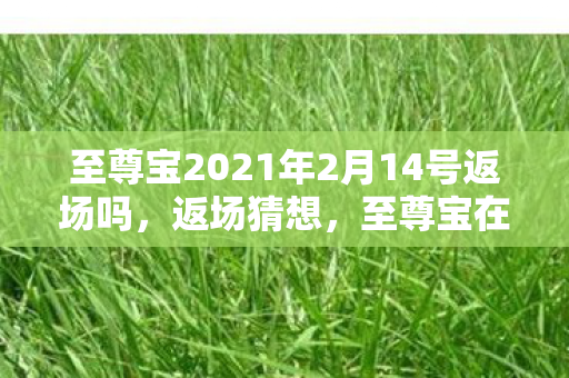 至尊宝2021年2月14号返场吗，返场猜想，至尊宝在2020年2月14日的可能性