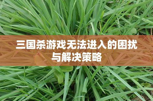 三国杀游戏无法进入的困扰与解决策略 三国杀游戏无法进入的困扰与解决策略