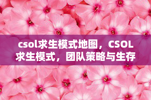 csol求生模式地图,CSOL求生模式,团队策略与生存挑战的深度解析 csol求生模式地图,CSOL求生模式,团队策略与生存挑战的深度解析