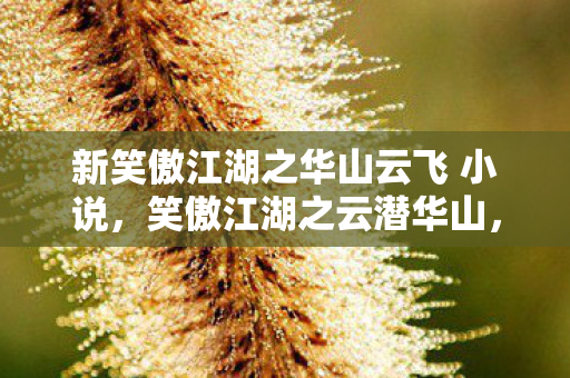 新笑傲江湖之华山云飞 小说,笑傲江湖之云潜华山,探寻武侠世界的云端秘境 新笑傲江湖之华山云飞 小说,笑傲江湖之云潜华山,探寻武侠世界的云端秘境