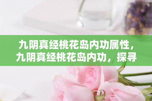 九阴真经桃花岛内功属性,九阴真经桃花岛内功,探寻武侠世界的奥秘 九阴真经桃花岛内功属性,九阴真经桃花岛内功,探寻武侠世界的奥秘