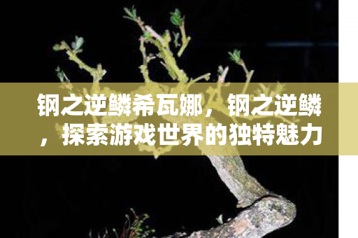 钢之逆鳞希瓦娜,钢之逆鳞,探索游戏世界的独特魅力 钢之逆鳞希瓦娜,钢之逆鳞,探索游戏世界的独特魅力