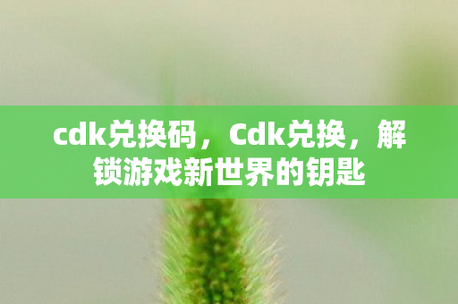 cdk兑换码，Cdk兑换，解锁游戏新世界的钥匙