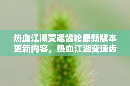 热血江湖变速齿轮最新版本更新内容,热血江湖变速齿轮,提升游戏体验的利器 热血江湖变速齿轮最新版本更新内容,热血江湖变速齿轮,提升游戏体验的利器