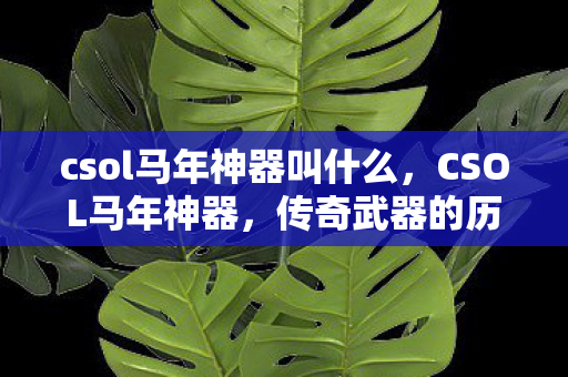 csol马年神器叫什么,CSOL马年神器,传奇武器的历史与影响 csol马年神器叫什么,CSOL马年神器,传奇武器的历史与影响