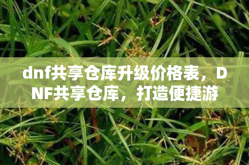 dnf共享仓库升级价格表,DNF共享仓库,打造便捷游戏体验的新选择 dnf共享仓库升级价格表,DNF共享仓库,打造便捷游戏体验的新选择