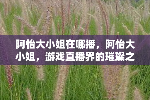 阿怡大小姐在哪播，阿怡大小姐，游戏直播界的璀璨之星