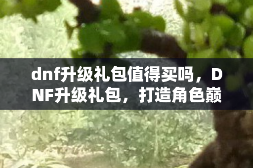 dnf升级礼包值得买吗，DNF升级礼包，打造角色巅峰的必备神器