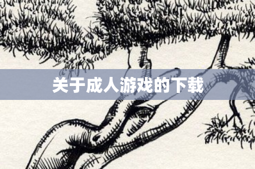 关于成人游戏的下载 关于成人游戏的下载