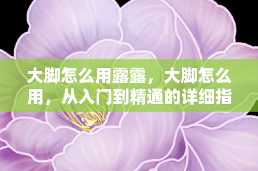 大脚怎么用露露,大脚怎么用,从入门到精通的详细指南 大脚怎么用露露,大脚怎么用,从入门到精通的详细指南