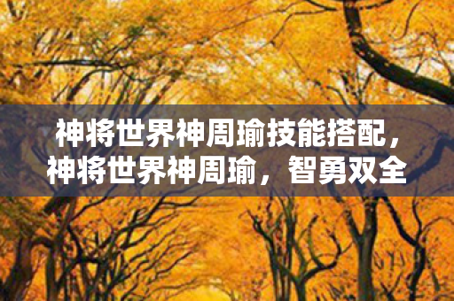 神将世界神周瑜技能搭配,神将世界神周瑜,智勇双全的火神传说 神将世界神周瑜技能搭配,神将世界神周瑜,智勇双全的火神传说