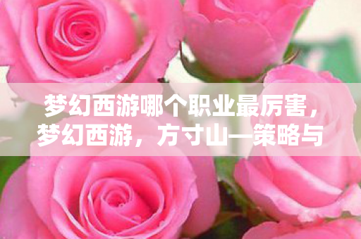 梦幻西游哪个职业最厉害，梦幻西游，方寸山—策略与控制的巅峰
