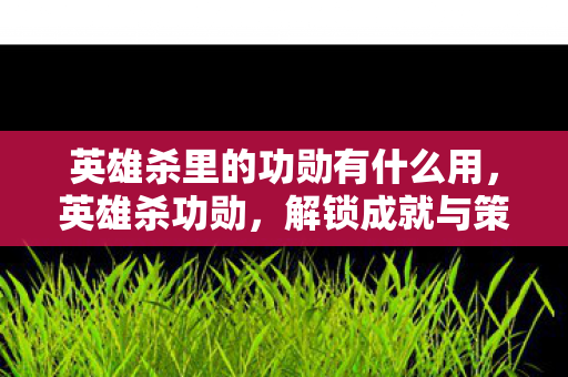 英雄杀里的功勋有什么用,英雄杀功勋,解锁成就与策略提升的全面指南 英雄杀里的功勋有什么用,英雄杀功勋,解锁成就与策略提升的全面指南