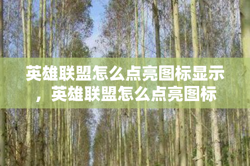 英雄联盟怎么点亮图标显示，英雄联盟怎么点亮图标