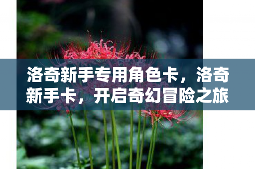 洛奇新手专用角色卡,洛奇新手卡,开启奇幻冒险之旅 洛奇新手专用角色卡,洛奇新手卡,开启奇幻冒险之旅