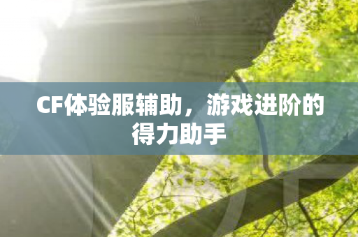 CF体验服辅助,游戏进阶的得力助手 CF体验服辅助,游戏进阶的得力助手