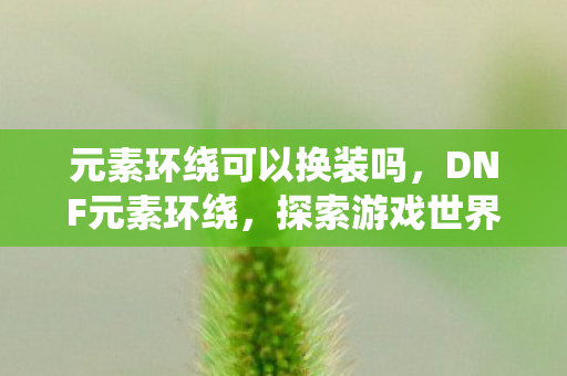 元素环绕可以换装吗,DNF元素环绕,探索游戏世界的奇幻之旅 元素环绕可以换装吗,DNF元素环绕,探索游戏世界的奇幻之旅