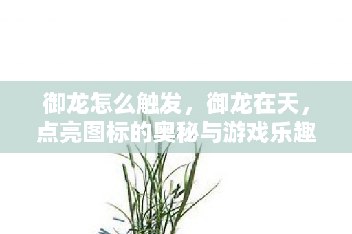 御龙怎么触发,御龙在天,点亮图标的奥秘与游戏乐趣探索 御龙怎么触发,御龙在天,点亮图标的奥秘与游戏乐趣探索
