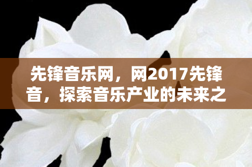 先锋音乐网，网2017先锋音，探索音乐产业的未来之路