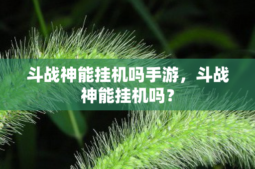 斗战神能挂机吗手游,斗战神能挂机吗? 斗战神能挂机吗手游,斗战神能挂机吗?