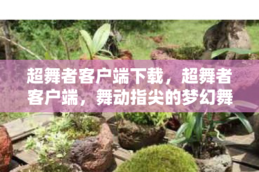 超舞者客户端下载，超舞者客户端，舞动指尖的梦幻舞台
