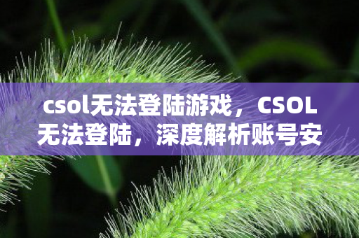 csol无法登陆游戏,CSOL无法登陆,深度解析账号安全及解决方案 csol无法登陆游戏,CSOL无法登陆,深度解析账号安全及解决方案