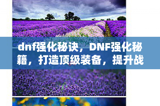 dnf强化秘诀,DNF强化秘籍,打造顶级装备,提升战斗力的终极指南 dnf强化秘诀,DNF强化秘籍,打造顶级装备,提升战斗力的终极指南