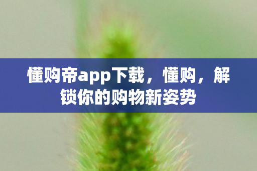 懂购帝app下载，懂购，解锁你的购物新姿势