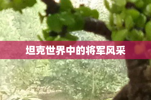 坦克世界中的将军风采 坦克世界中的将军风采
