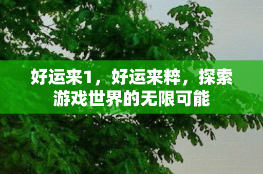 好运来1,好运来粹,探索游戏世界的无限可能 好运来1,好运来粹,探索游戏世界的无限可能