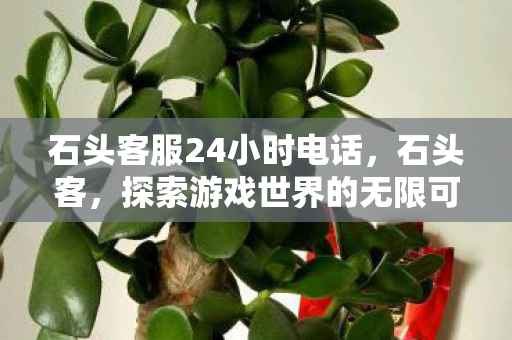 石头客服24小时电话,石头客,探索游戏世界的无限可能 石头客服24小时电话,石头客,探索游戏世界的无限可能