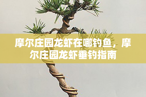 摩尔庄园龙虾在哪钓鱼,摩尔庄园龙虾垂钓指南 摩尔庄园龙虾在哪钓鱼,摩尔庄园龙虾垂钓指南