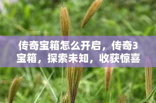 传奇宝箱怎么开启,传奇3宝箱,探索未知,收获惊喜 传奇宝箱怎么开启,传奇3宝箱,探索未知,收获惊喜