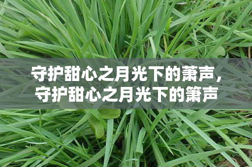 守护甜心之月光下的萧声,守护甜心之月光下的箫声 守护甜心之月光下的萧声,守护甜心之月光下的箫声