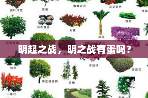 明起之战,明之战有蛋吗? 明起之战,明之战有蛋吗?