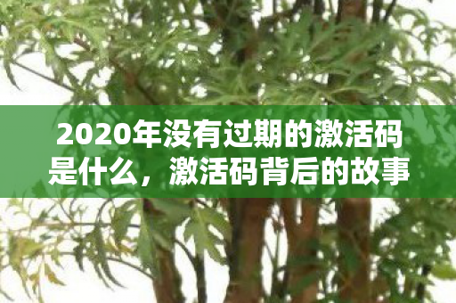 2020年没有过期的激活码是什么,激活码背后的故事,2020年的珍贵记忆 2020年没有过期的激活码是什么,激活码背后的故事,2020年的珍贵记忆